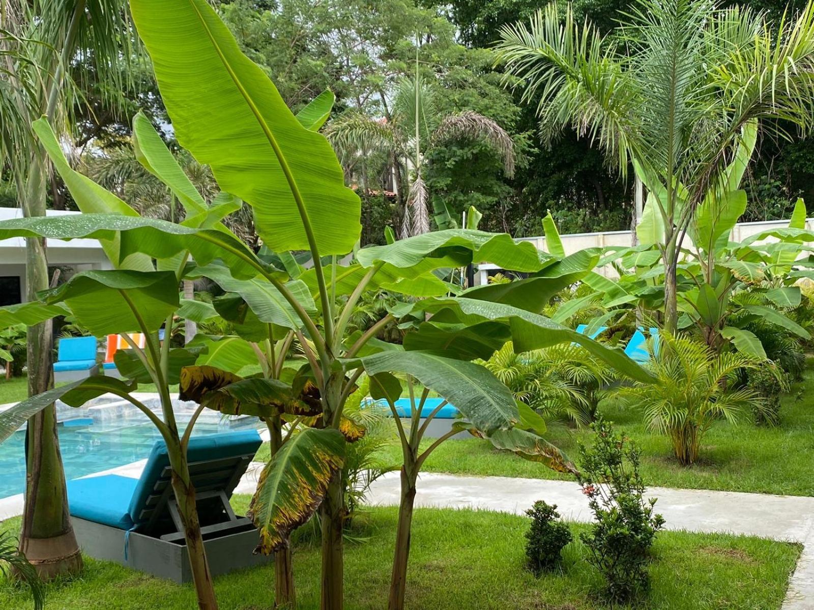 Hotel Good Life Coco Exterior photo